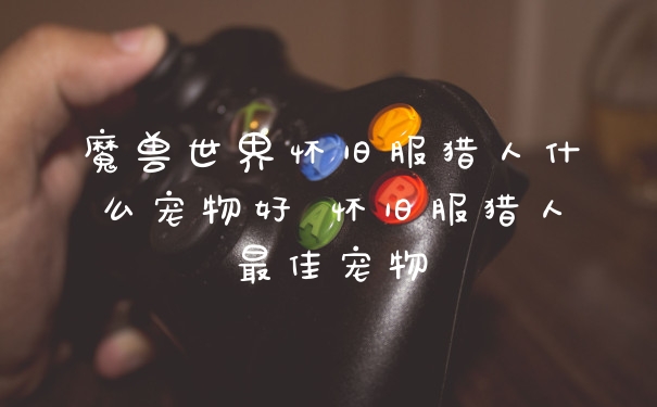 魔兽世界怀旧服猎人什么宠物好 怀旧服猎人最佳宠物