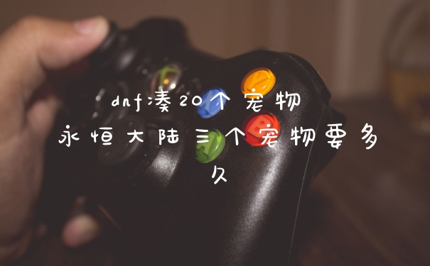dnf凑20个宠物 永恒大陆三个宠物要多久
