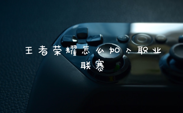 王者荣耀怎么加入职业联赛