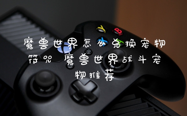 魔兽世界怎么兑换宠物符咒 魔兽世界战斗宠物推荐