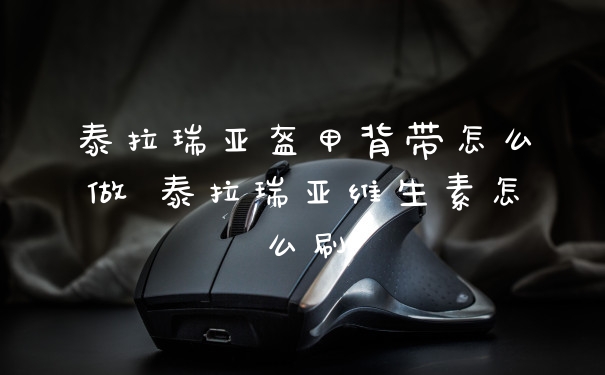 泰拉瑞亚盔甲背带怎么做 泰拉瑞亚维生素怎么刷