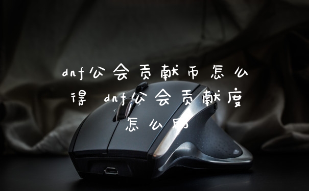 dnf公会贡献币怎么得 dnf公会贡献度怎么刷