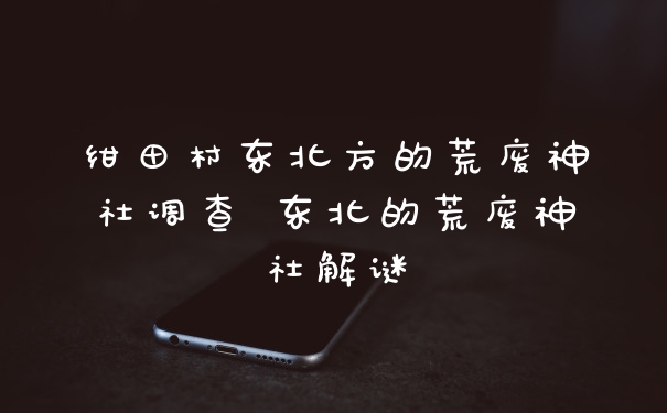 绀田村东北方的荒废神社调查 东北的荒废神社解谜