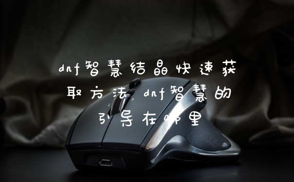 dnf智慧结晶快速获取方法 dnf智慧的引导在哪里