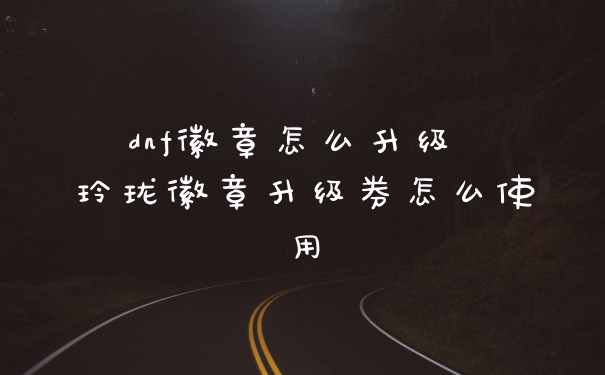dnf徽章怎么升级 玲珑徽章升级券怎么使用