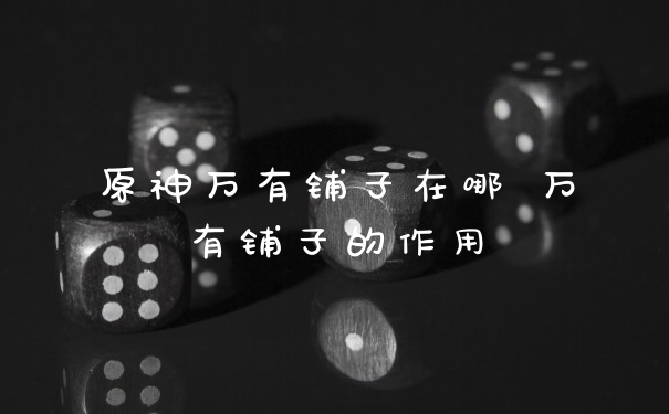 原神万有铺子在哪 万有铺子的作用