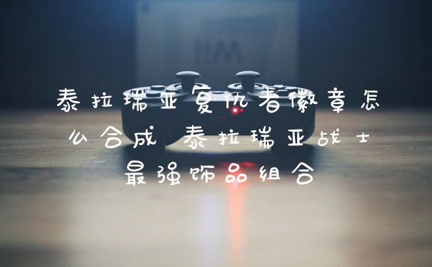 泰拉瑞亚复仇者徽章怎么合成 泰拉瑞亚战士最强饰品组合