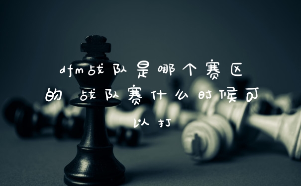 dfm战队是哪个赛区的 战队赛什么时候可以打