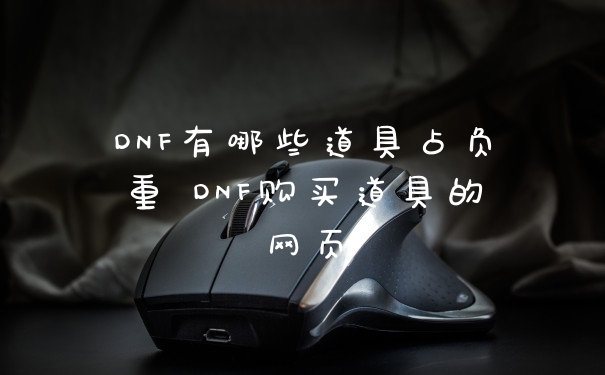DNF有哪些道具占负重 DNF购买道具的网页