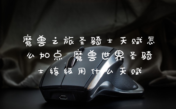 魔兽之旅圣骑士天赋怎么加点 魔兽世界圣骑士练级用什么天赋