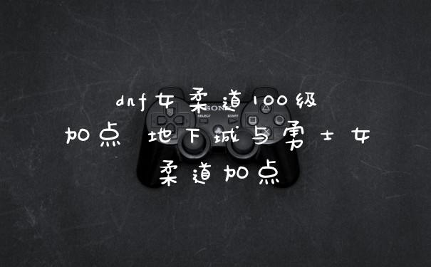 dnf女柔道100级加点 地下城与勇士女柔道加点