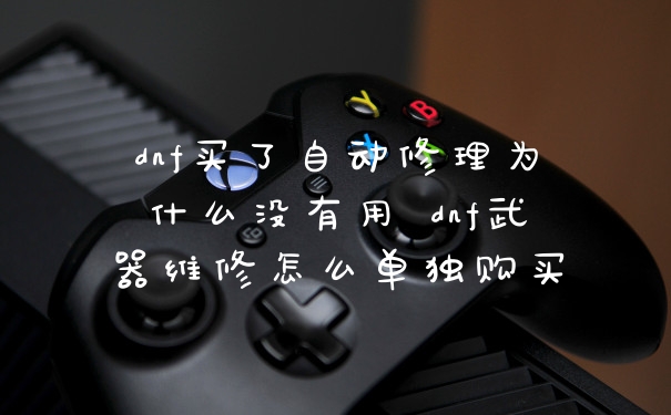 dnf买了自动修理为什么没有用 dnf武器维修怎么单独购买