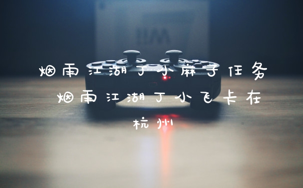 烟雨江湖丁小麻子任务 烟雨江湖丁小飞卡在杭州