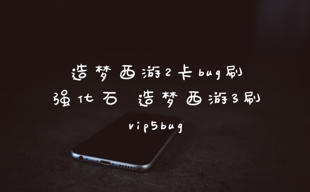 造梦西游2卡bug刷强化石 造梦西游3刷vip5bug