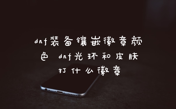 dnf装备镶嵌徽章颜色 dnf光环和皮肤打什么徽章