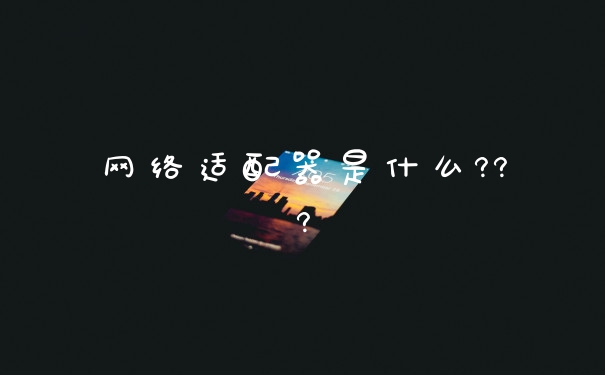 网络适配器是什么???