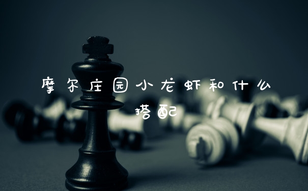 摩尔庄园小龙虾和什么搭配