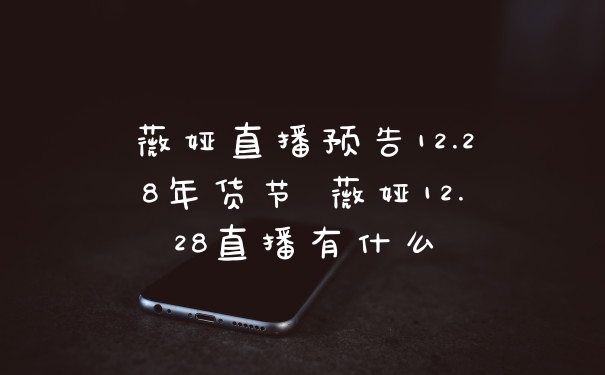 薇娅直播预告12.28年货节 薇娅12.28直播有什么