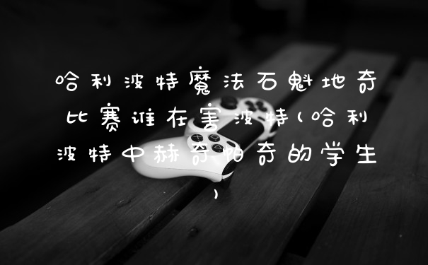哈利波特魔法石魁地奇比赛谁在害波特(哈利波特中赫奇帕奇的学生)