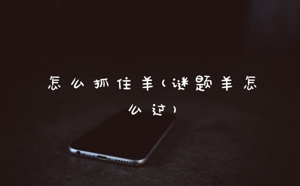 怎么抓住羊(谜题羊怎么过)