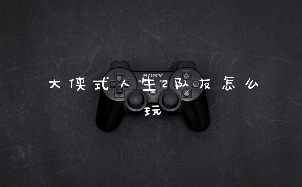 大侠式人生2队友怎么玩
