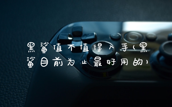 黑鲨值不值得入手(黑鲨目前为止最好用的)