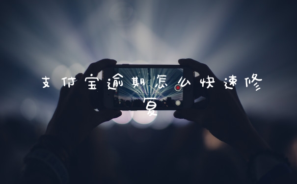 支付宝逾期怎么快速修复