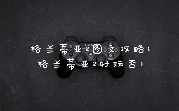 格兰蒂亚2图文攻略(格兰蒂亚2好玩否)
