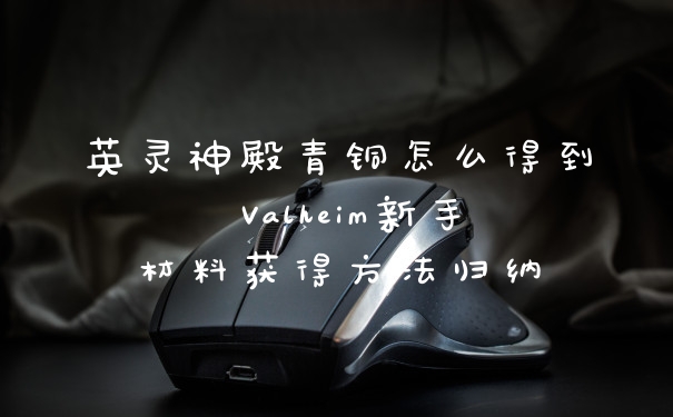 英灵神殿青铜怎么得到 Valheim新手材料获得方法归纳