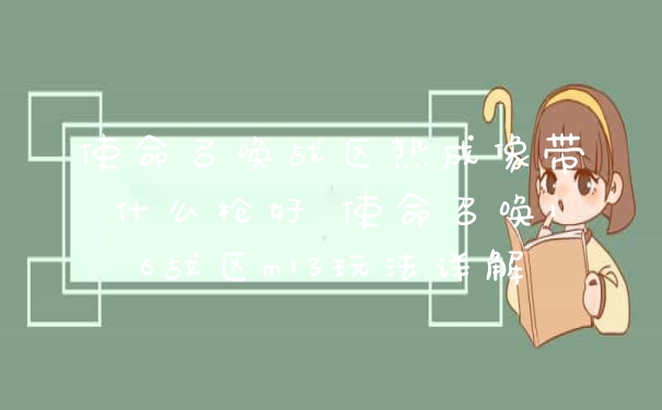 使命召唤战区热成像带什么枪好 使命召唤16战区m13玩法详解