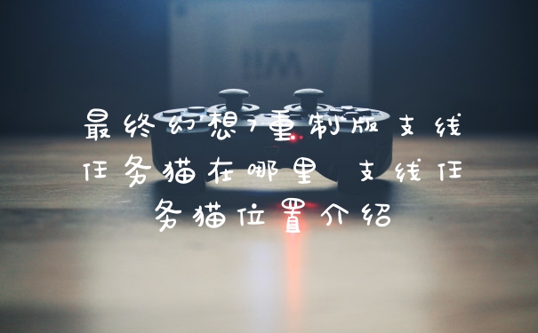 最终幻想7重制版支线任务猫在哪里 支线任务猫位置介绍