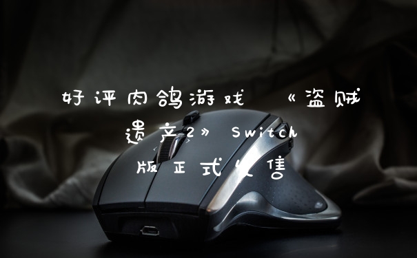 好评肉鸽游戏 《盗贼遗产2》Switch版正式发售