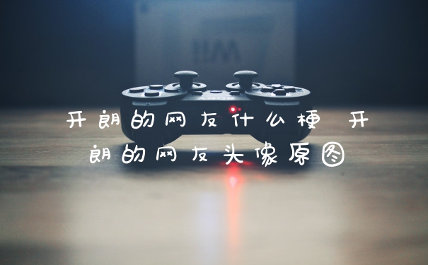 开朗的网友什么梗 开朗的网友头像原图