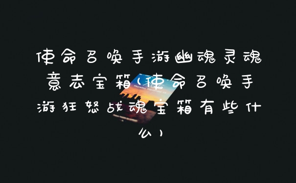 使命召唤手游幽魂灵魂意志宝箱(使命召唤手游狂怒战魂宝箱有些什么)