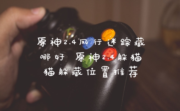 原神2.4风行迷踪藏哪好 原神2.4躲猫猫躲藏位置推荐