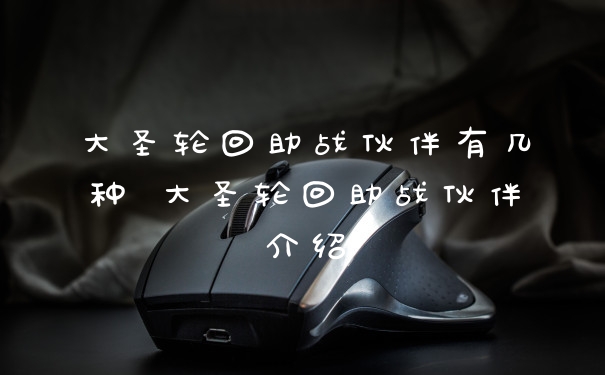 大圣轮回助战伙伴有几种 大圣轮回助战伙伴介绍