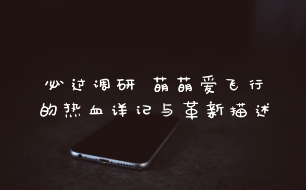 必过调研 萌萌爱飞行的热血详记与革新描述