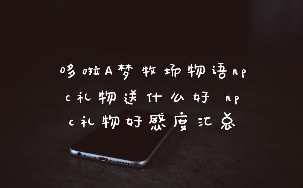哆啦A梦牧场物语npc礼物送什么好 npc礼物好感度汇总