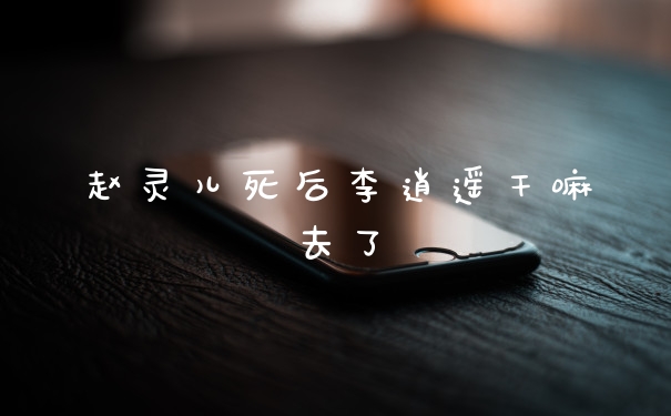 赵灵儿死后李逍遥干嘛去了