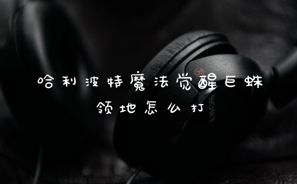 哈利波特魔法觉醒巨蛛领地怎么打