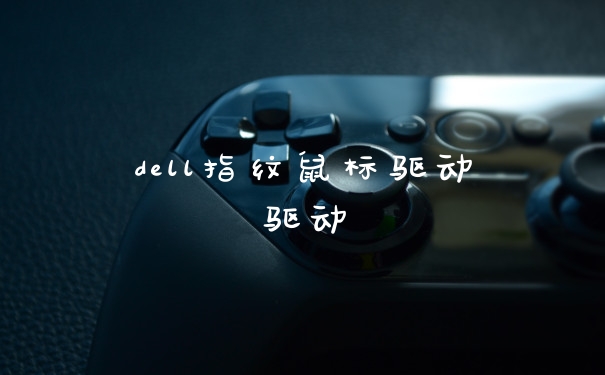 dell指纹鼠标驱动驱动