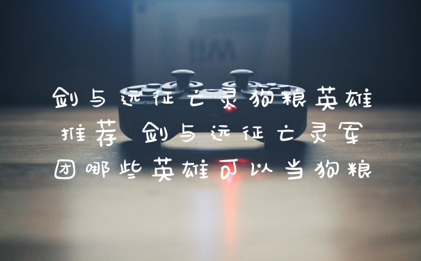 剑与远征亡灵狗粮英雄推荐 剑与远征亡灵军团哪些英雄可以当狗粮