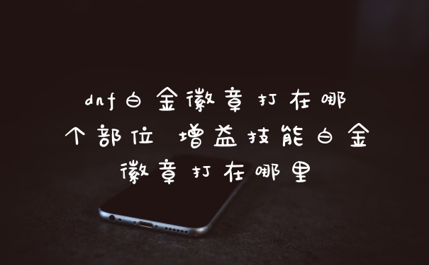 dnf白金徽章打在哪个部位 增益技能白金徽章打在哪里