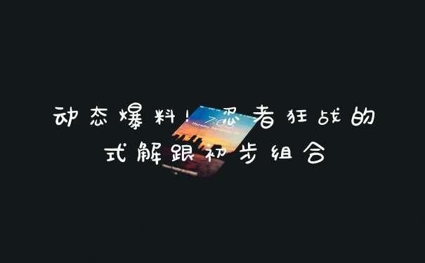 动态爆料！忍者狂战的式解跟初步组合
