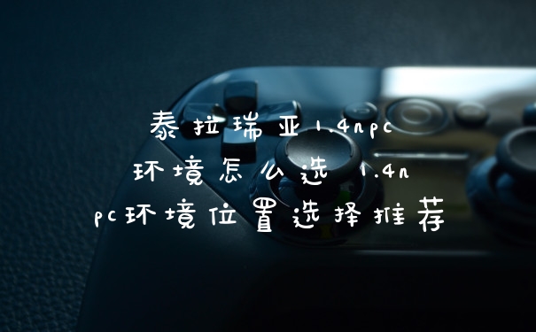 泰拉瑞亚1.4npc环境怎么选 1.4npc环境位置选择推荐