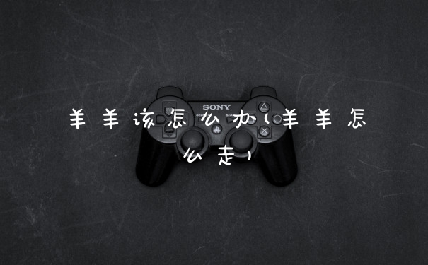 羊羊该怎么办(羊羊怎么走)