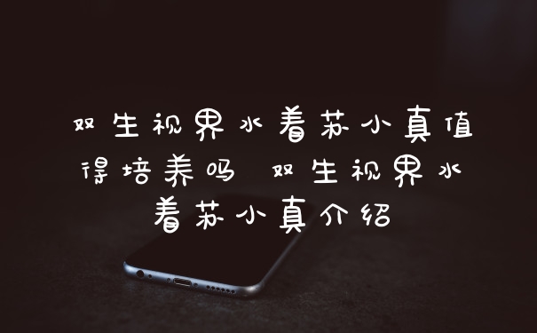 双生视界水着苏小真值得培养吗 双生视界水着苏小真介绍