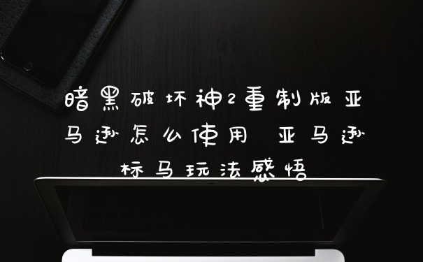 暗黑破坏神2重制版亚马逊怎么使用 亚马逊标马玩法感悟