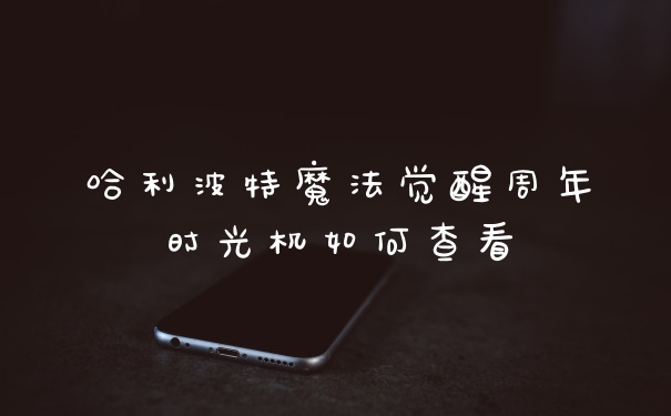 哈利波特魔法觉醒周年时光机如何查看
