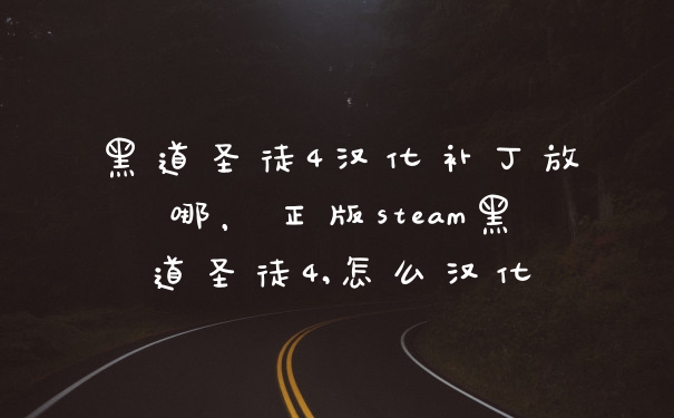 黑道圣徒4汉化补丁放哪，正版steam黑道圣徒4,怎么汉化